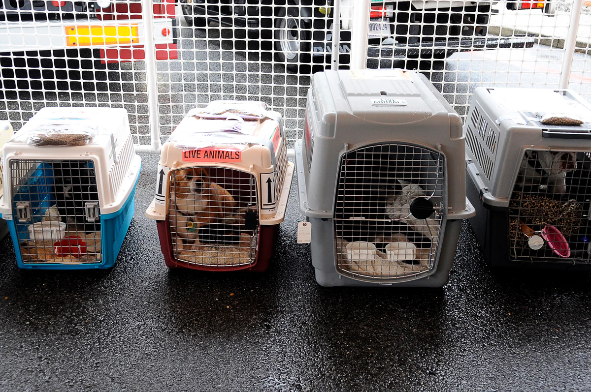 live animal delivery Active Shippers live animal delivery Active Shippers